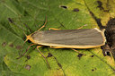 BUITEN BEELD Foto: 286844