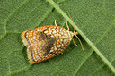 BUITEN BEELD Foto: 286852
