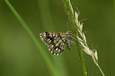 BUITEN BEELD Foto: 286855