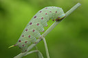 BUITEN BEELD Foto: 286858