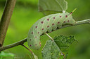 BUITEN BEELD Foto: 286859