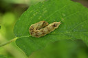 BUITEN BEELD Foto: 286865