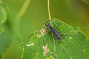BUITEN BEELD Foto: 286872