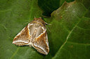 BUITEN BEELD Foto: 286879