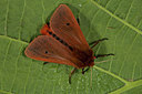 BUITEN BEELD Foto: 286881