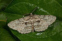BUITEN BEELD Foto: 286882