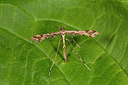 BUITEN BEELD Foto: 286893