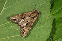 BUITEN BEELD Foto: 286896