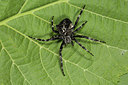 BUITEN BEELD Foto: 286899