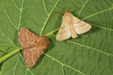 BUITEN BEELD Foto: 286901