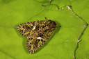 BUITEN BEELD Foto: 286907