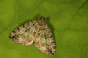 BUITEN BEELD Foto: 286910