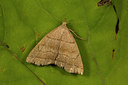 BUITEN BEELD Foto: 286911