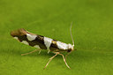 BUITEN BEELD Foto: 286913