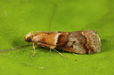 BUITEN BEELD Foto: 286918