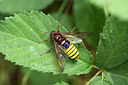 BUITEN BEELD Foto: 286962
