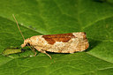 BUITEN BEELD Foto: 286975