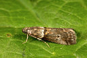BUITEN BEELD Foto: 286976