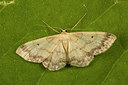 BUITEN BEELD Foto: 286980