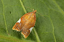 BUITEN BEELD Foto: 286981