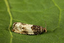 BUITEN BEELD Foto: 286982