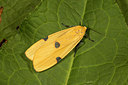 BUITEN BEELD Foto: 286987