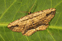 BUITEN BEELD Foto: 286988