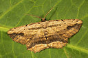 BUITEN BEELD Foto: 286989