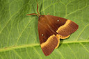BUITEN BEELD Foto: 286995