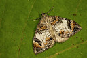 BUITEN BEELD Foto: 286996