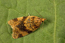 BUITEN BEELD Foto: 286997