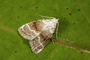 BUITEN BEELD Foto: 286998