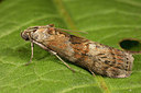 BUITEN BEELD Foto: 286999
