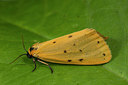 BUITEN BEELD Foto: 287005