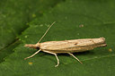 BUITEN BEELD Foto: 287012