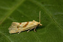 BUITEN BEELD Foto: 287013
