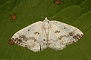 BUITEN BEELD Foto: 287020