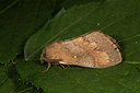 BUITEN BEELD Foto: 287022