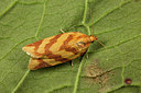 BUITEN BEELD Foto: 287026