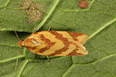 BUITEN BEELD Foto: 287027