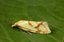 BUITEN BEELD Foto: 287029