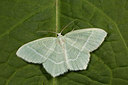 BUITEN BEELD Foto: 287036