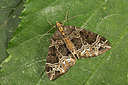 BUITEN BEELD Foto: 287040