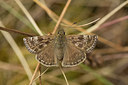 BUITEN BEELD Foto: 287041