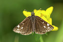 BUITEN BEELD Foto: 287045