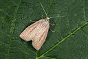 BUITEN BEELD Foto: 287052