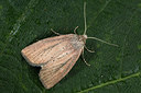 BUITEN BEELD Foto: 287053