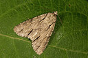 BUITEN BEELD Foto: 287057