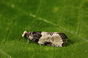 BUITEN BEELD Foto: 287058