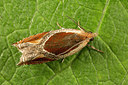 BUITEN BEELD Foto: 287059